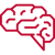 brain brain
